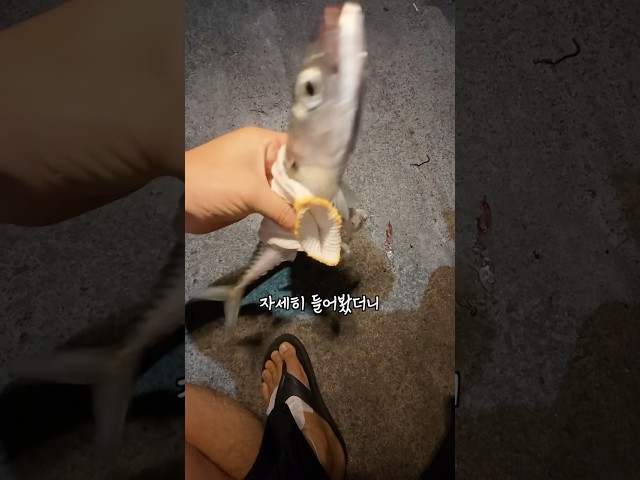 낮져밤이