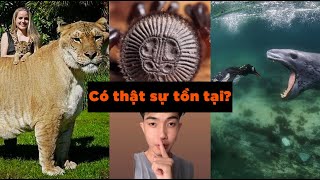 Những loài vật tưởng như không hề tồn tại | Sự thật lạ lùng bạn chưa bao giờ biết (P101-P109)