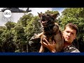 US Marine Corps Sgts. reunite with their K-9s