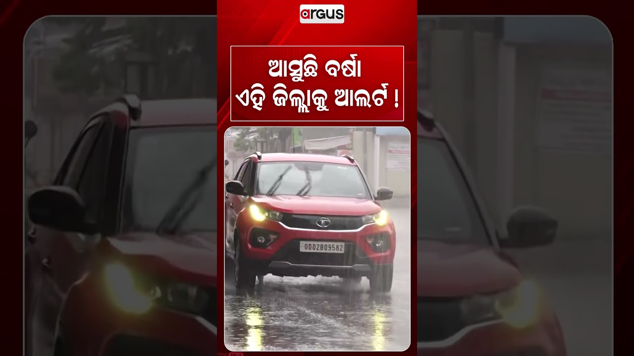 ଆସୁଛି ବର୍ଷା ଏହି ଜିଲ୍ଲାକୁ ଆଲର୍ଟ ! | Argus Reels | Rain Alert | Weather Update | Odisha Weather