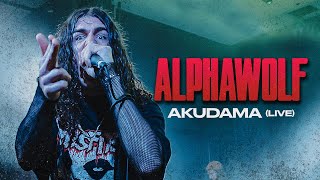 Alpha Wolf - Akudama (Live at Full Tilt, Brisbane)