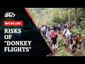 Risks Of Donkey Flights As Illegal Migration Rises In Punjab, Haryana | NDTV 24x7 Live TV