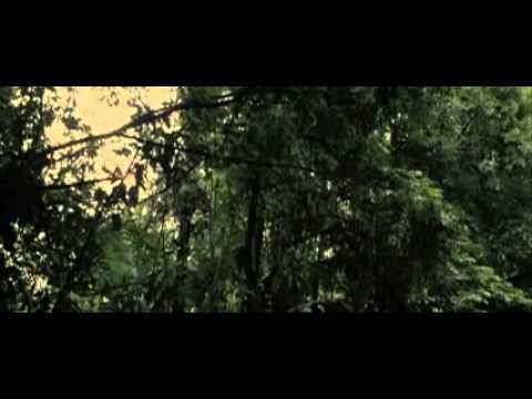 The Lost Tribe'
