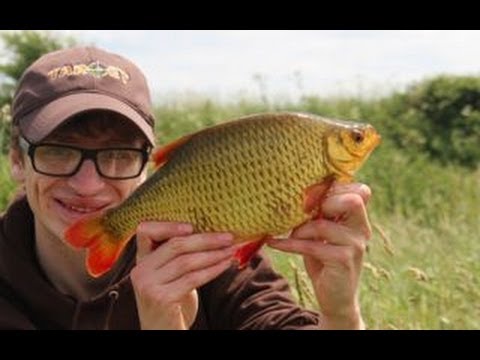 рыбалка фокусы рыбалка фокусы