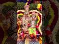 యాదాద్రి శ్రీ లక్ష్మీనరసింహ స్వామి కల్యాణ మహోత్సవం 🕉️🙏 #yadadri #lakshminarasimha #kalyanam