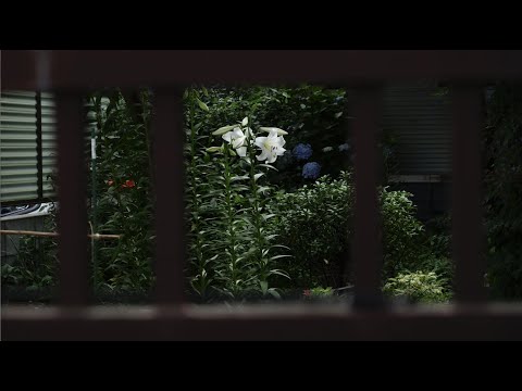 生活と娯楽 / Teenager Kick Ass