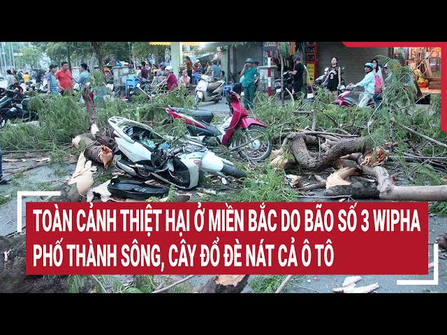 Toàn cảnh thiệt hại miền Bắc do bão số 3 Wipha: Phố thành sông, cây đổ đè nát cả ô tô