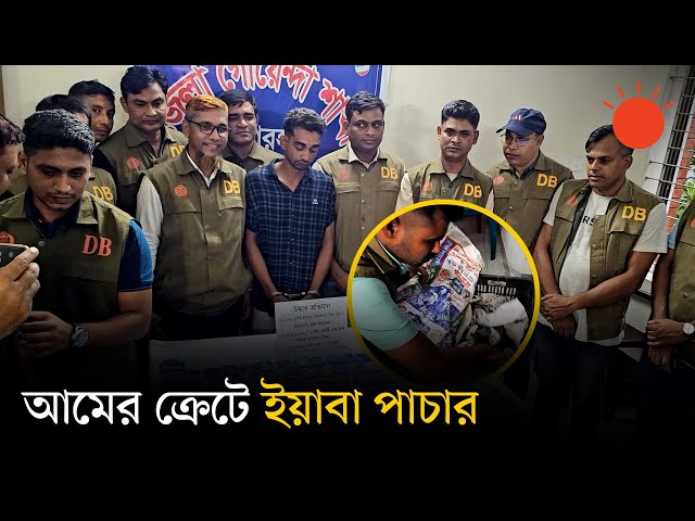 আম পরিবহনের আড়ালে ইয়াবা পাচার, জব্দ ২০ হাজার পিস | News | Prothom Alo