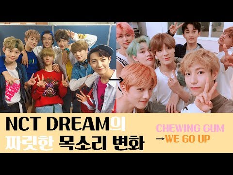 NCT DREAM의 짜릿한 목소리 변화 (Chewing Gum → We Go Up)