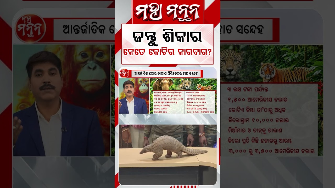 ଜନ୍ତୁ ଶିକାର କେତେ କୋଟିର କାରବାର ? | Maha Manthan | Argus News