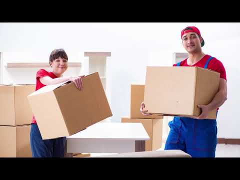 Common Pitfalls When Choosing A Removalist in Burleigh Heads