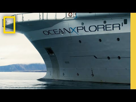 OceanXplorers'