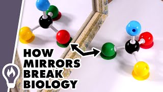 Homochirality: Why Nature Never Makes Mirror Molecules