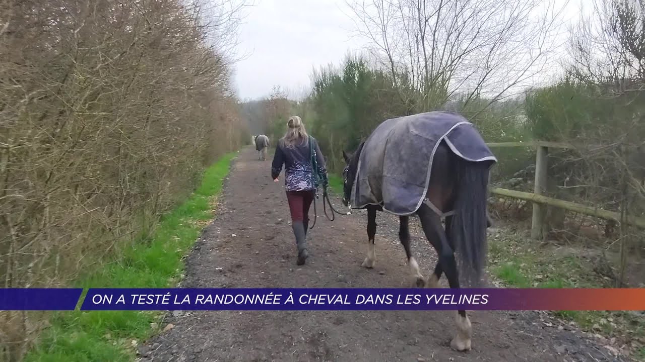 Yvelines | On a testé la randonnée à cheval dans les Yvelines