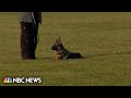 Bidens dog Commander bites Secret Service officer