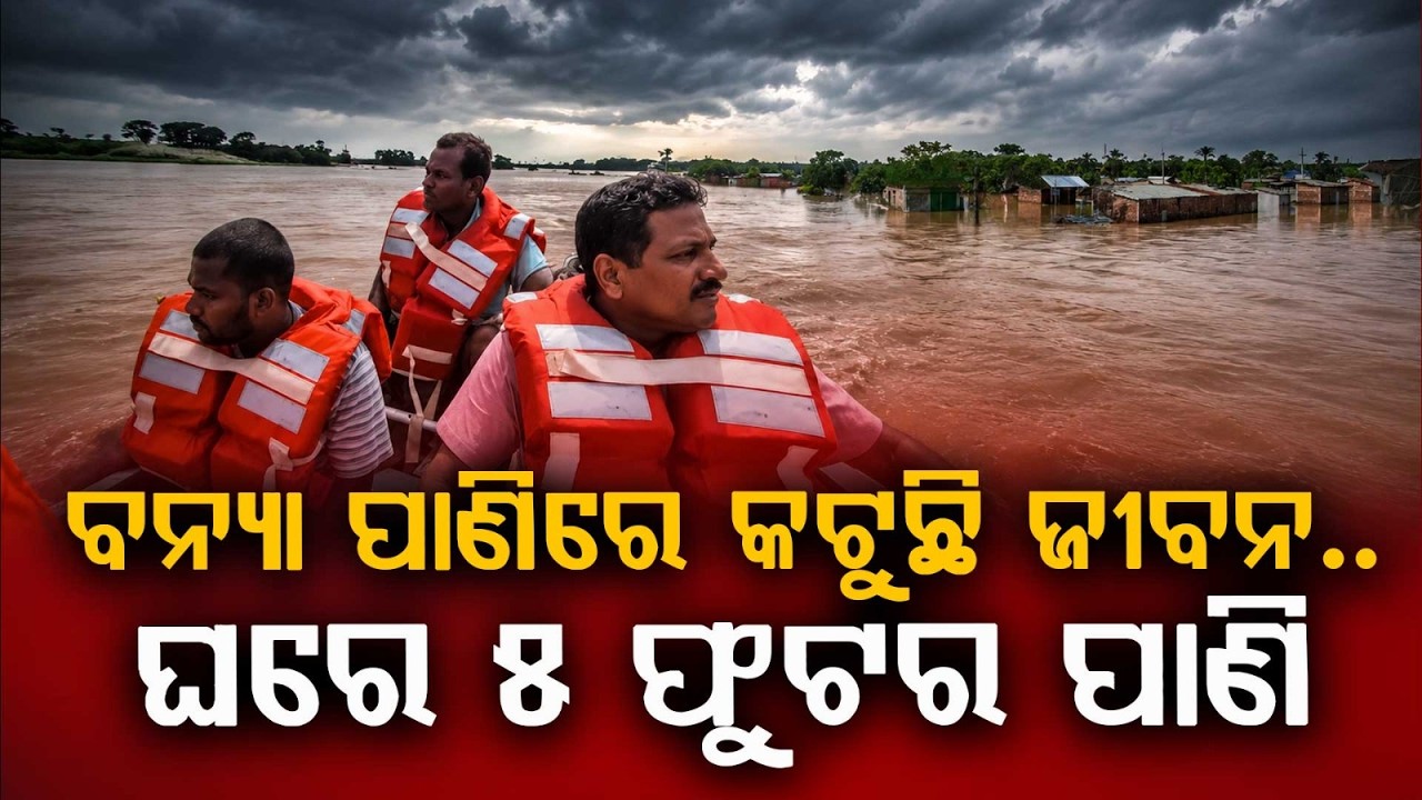 Brahmani River Flood Inundates Kendrapara Villages Crocodile Fear Grips Locals | Argus News