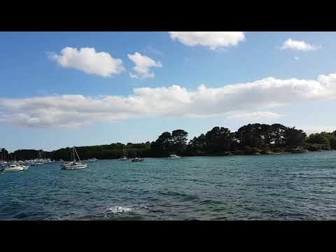 Property video