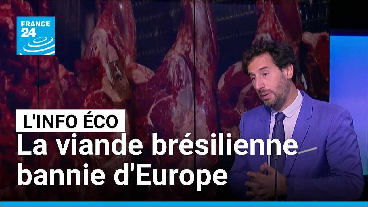 Mercosur : l’Europe ferme ses portes aux viandes brésiliennes • FRANCE 24