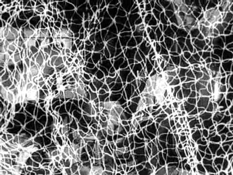 The Man in the Net'