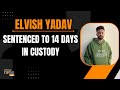 Breaking: Elvish Yadav Sentenced to 14-Day Jail in Snake Venom-Rave Party Case | News9