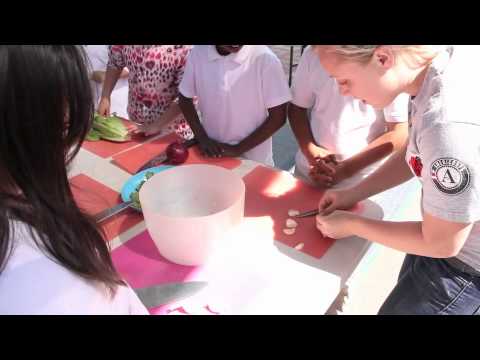 Collective Roots seeks to educate and engage youth and communities in food system change through sustainable programs that impact health, education, and the environment. It brings people in communities together.
