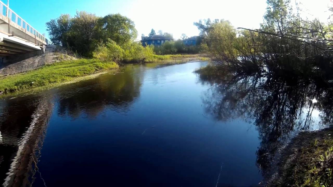 Прогноз клёва рыбы в городе Куровское