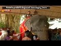 This 86-year-old elephant in Kerala could soon enter the Guinness Records