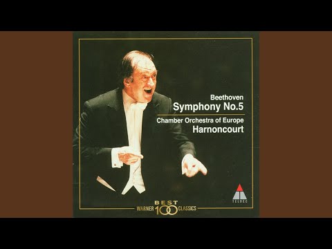 Symphony No. 5 in C Minor, Op. 67: I. Allegro con brio