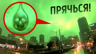 Если вы видите это, природа обращается против вас