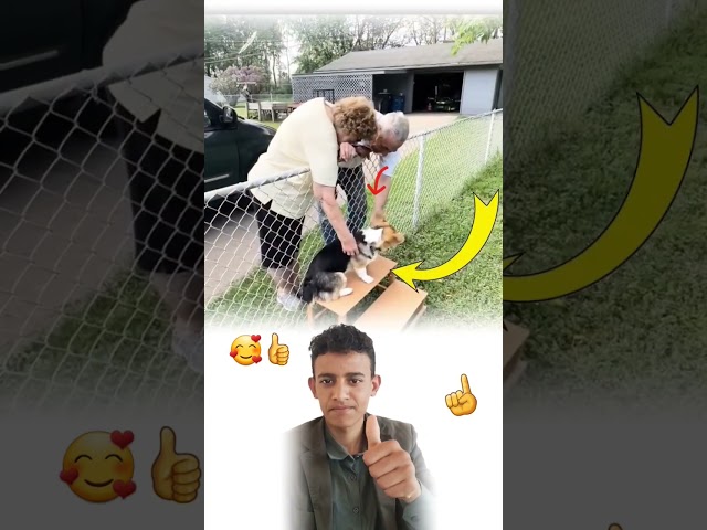 أصحاب القلوب الرحيمة لا يرو مخلوقاً ضعيف عيبًا، بل يرونه نداءً للعطاء وملجأً للحنان 🥺🥰#shorts #like