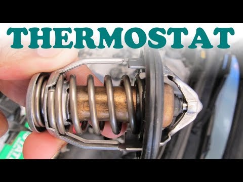 install thermostat 1992 toyota camry #2
