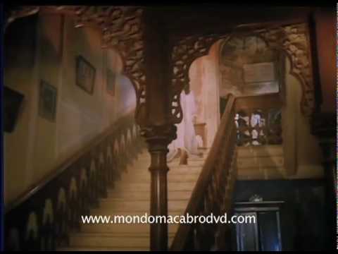 Purani Haveli'