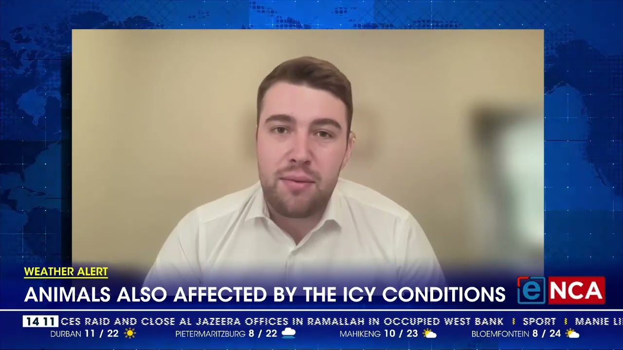Animals also affected by the icy conditions