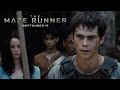 Button to run trailer #11 of 'The Maze Runner'