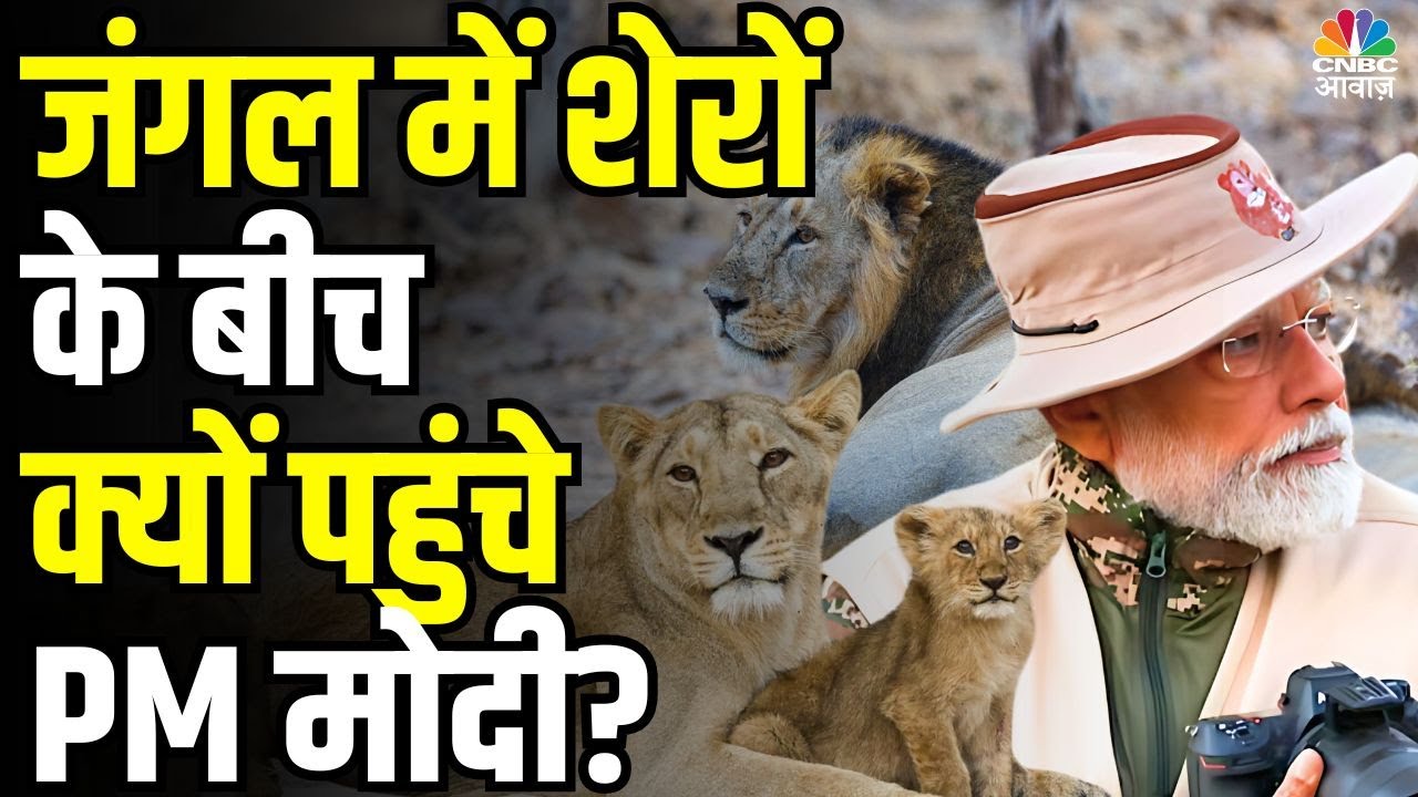 PM Modi ने World Wildlife Day पर शेयर किया खास Video, दुनिया को दिया बड़ा संदेश | Gujarat |N18V