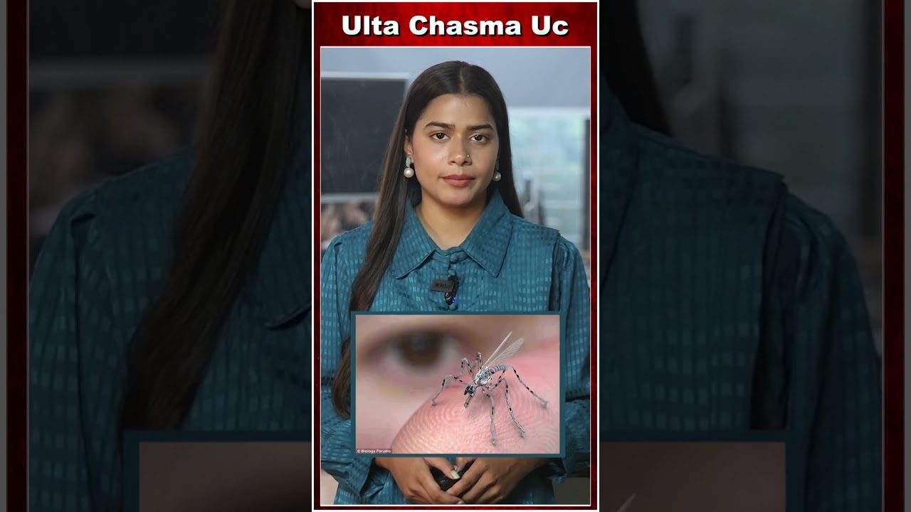 चीन ने बनाया मच्छर जैसा ड्रोन