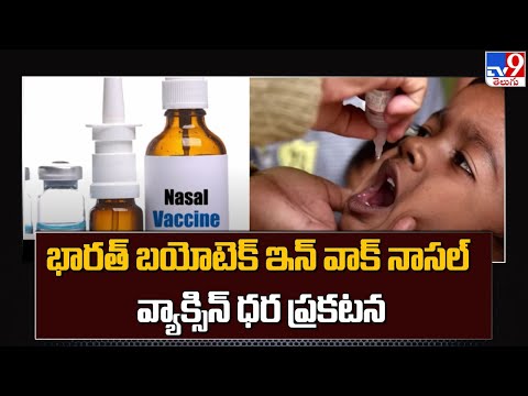 Nasal Covid vaccine : Bharat Biotech announces price, here's how much it will cost you