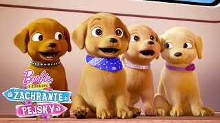 Barbie - Ihrisko pre psov