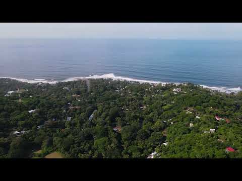 Video realizado por la propiedad