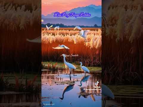 Kau pergi tanpa relaku cover by JIH
