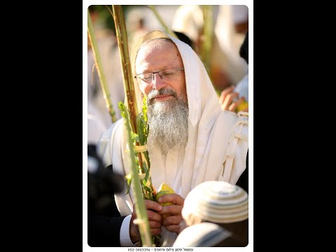 הרב שמואל אליהו יחד עם הרב איל יעקבוביץ' בשו"ת לקראת פסח
