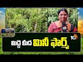 మిద్దె మీద మినీ ఫార్మ్ | Urban Farming Success Story | Mini Farm on Rooftop | Matti Manishi | 10TV