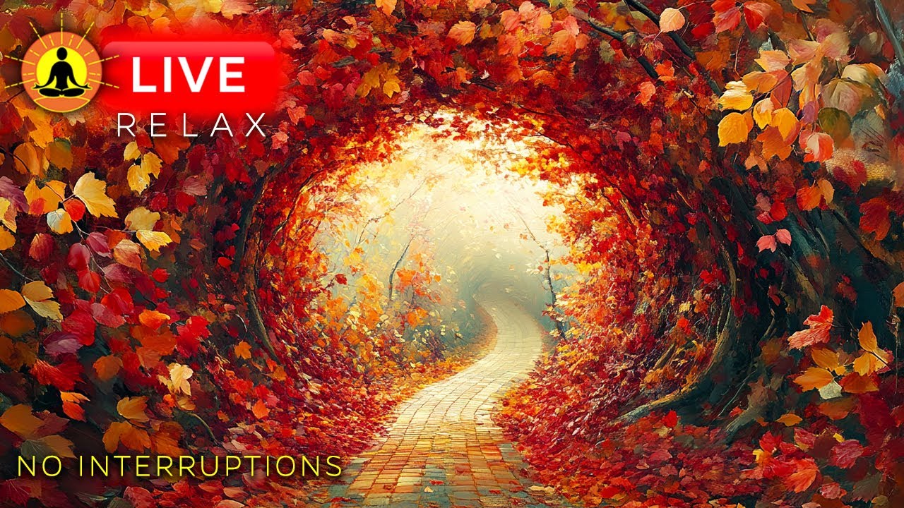 🔴 Relaxing Peaceful Music 24/7, Soothing Music, Relaxing Music for Stress Relief, Autumn Ambience