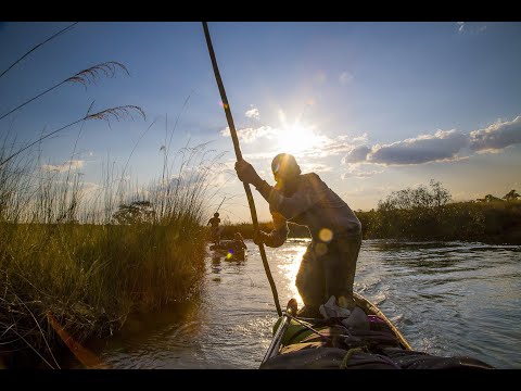 Into the Okavango'
