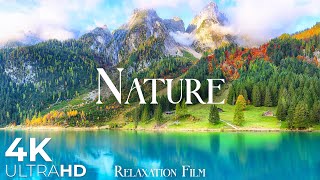 Nature Europe 4K • Calm Horizon with Deep Relaxing Music | Relaxation Film