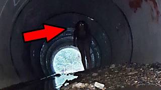 SCARY Videos OR Are You A BIG BABY ?