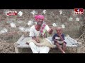 పవన్ కోసం టోపీ కుడ్తున్న రాములు | Jordar Ramulu | hmtv  - 06:12 min - News - Video