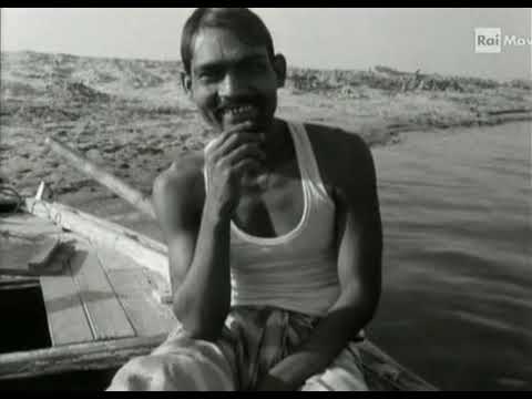 Boatman'