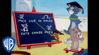 Tom a Jerry - Lekce profesora Toma