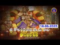 Sri Govindarajaswamy Vari Unjal Seva || Tirupathi || 18-06-2025 || SVBC TTD